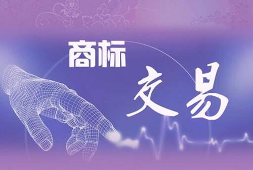 商標(biāo)轉(zhuǎn)讓后多久能正常使用？